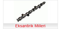 eksantirik milleri