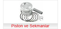 piston ve sekmanlar