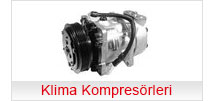 klima kompresorleri